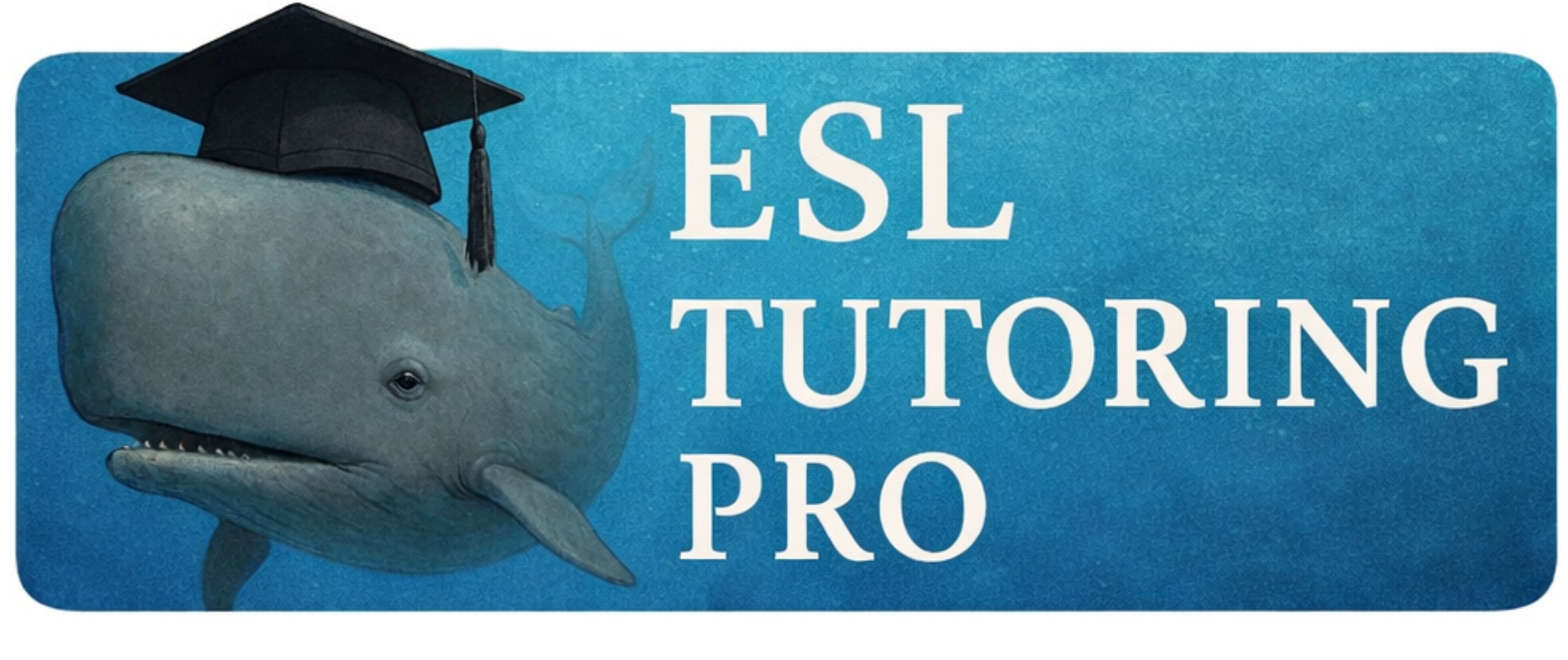 onlinetutoringresources.com